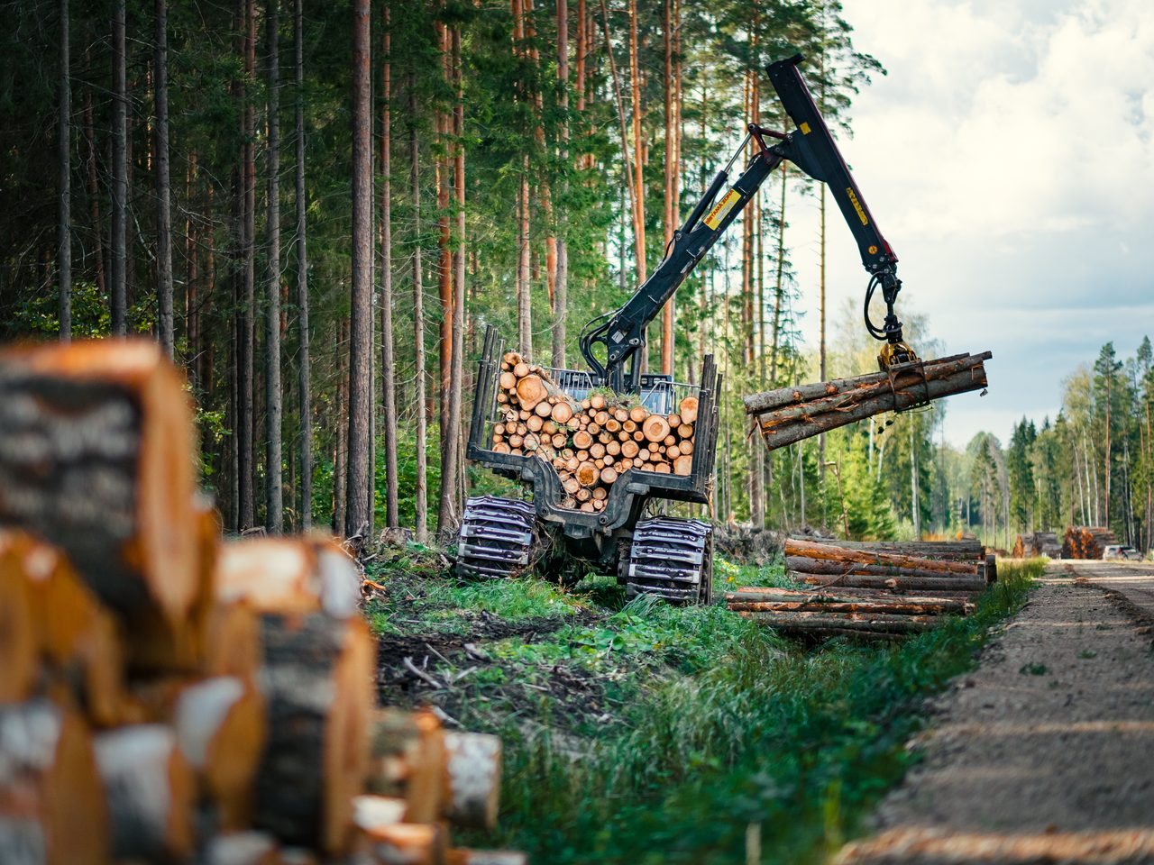 A forwarder lifting a grab of timber on a UK forestry site